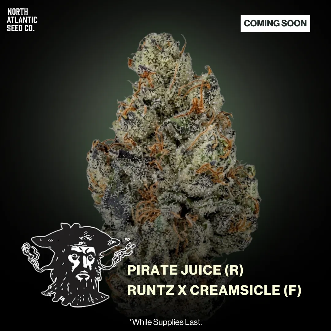 Tiki Madman New Strains