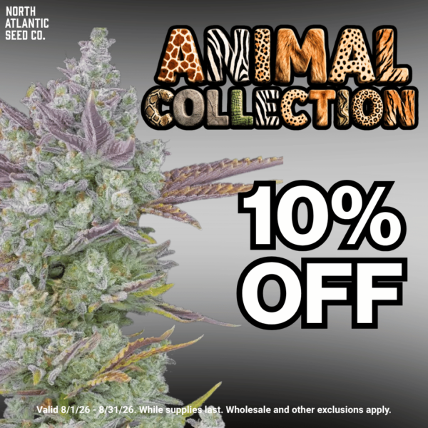Animal Collection