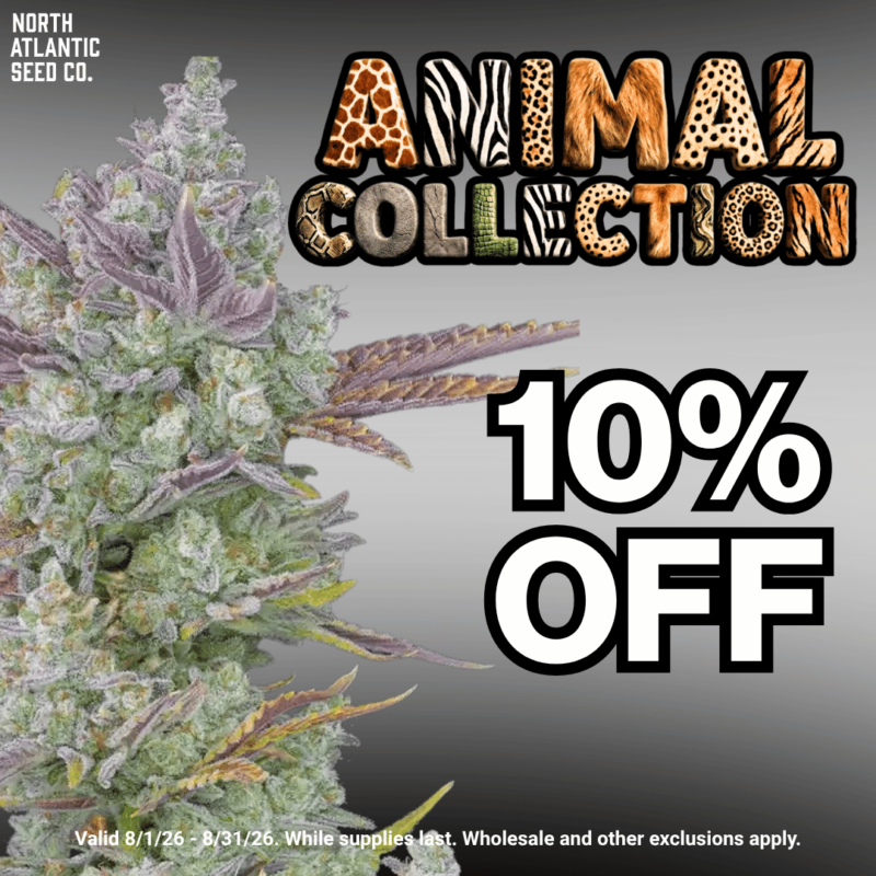 Animal Collection Image