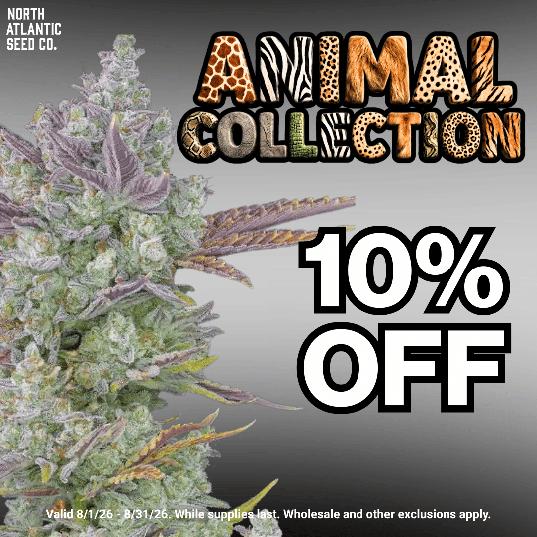 Animal Collection