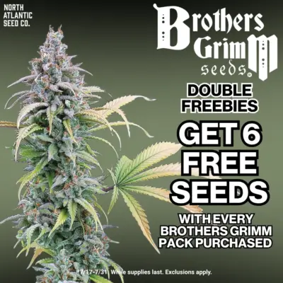 Brothers Grimm Seeds