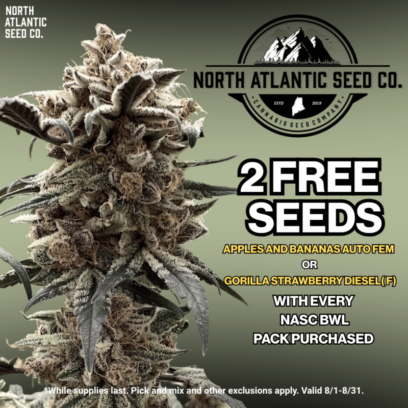 North Atlantic Seed - BWL Image