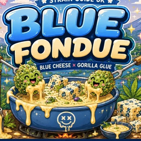 Blue Fondue Cannabis Seeds by Supernatural Seeds