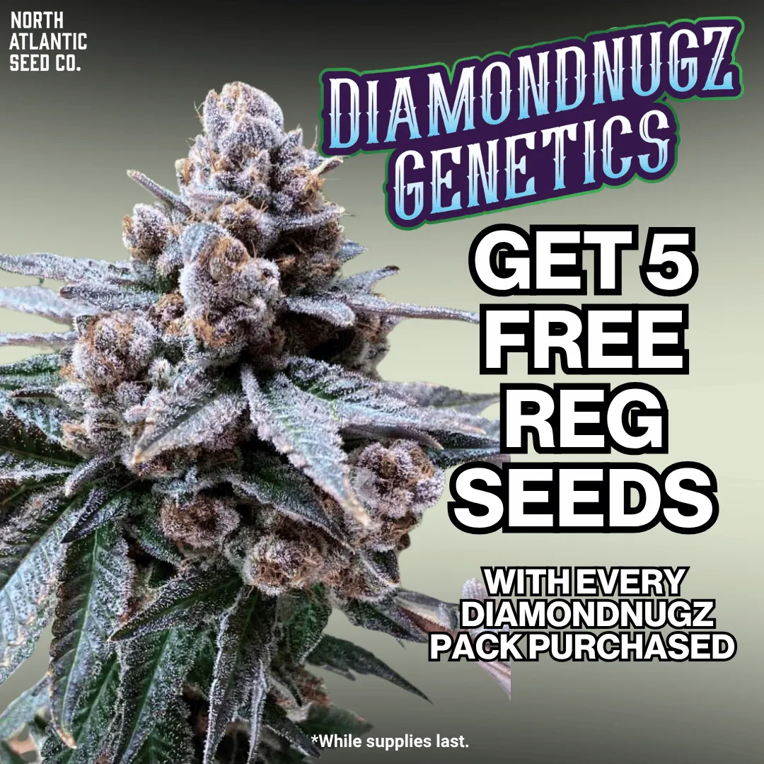Diamondnugz
