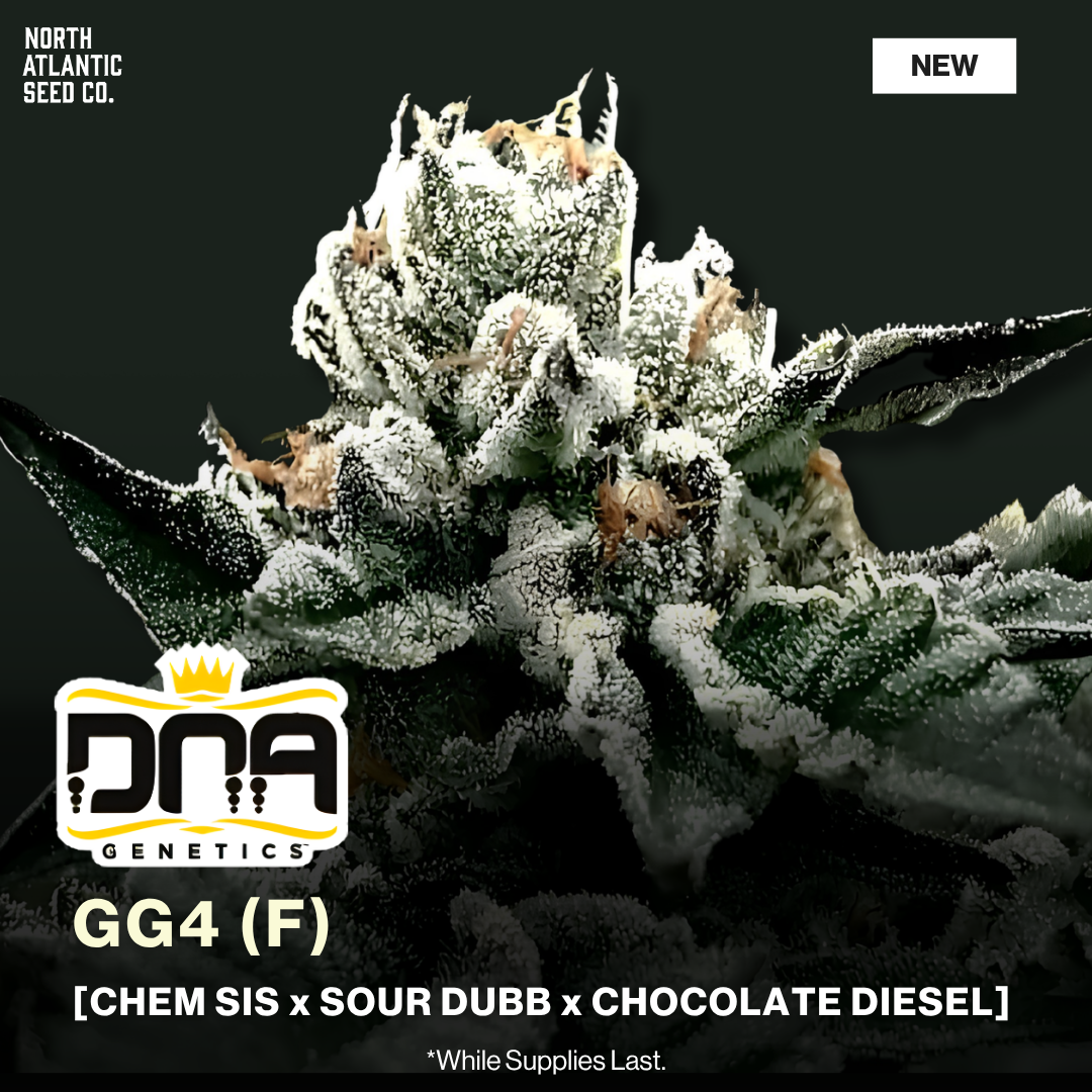 DNA Genetics - Photoperiod Cannabis Seeds