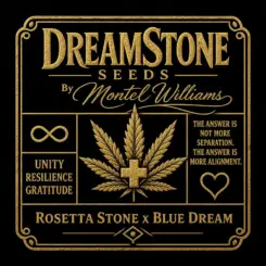 DreamStone by Montel Cannabis Seeds by Brothers Grimm Seeds
