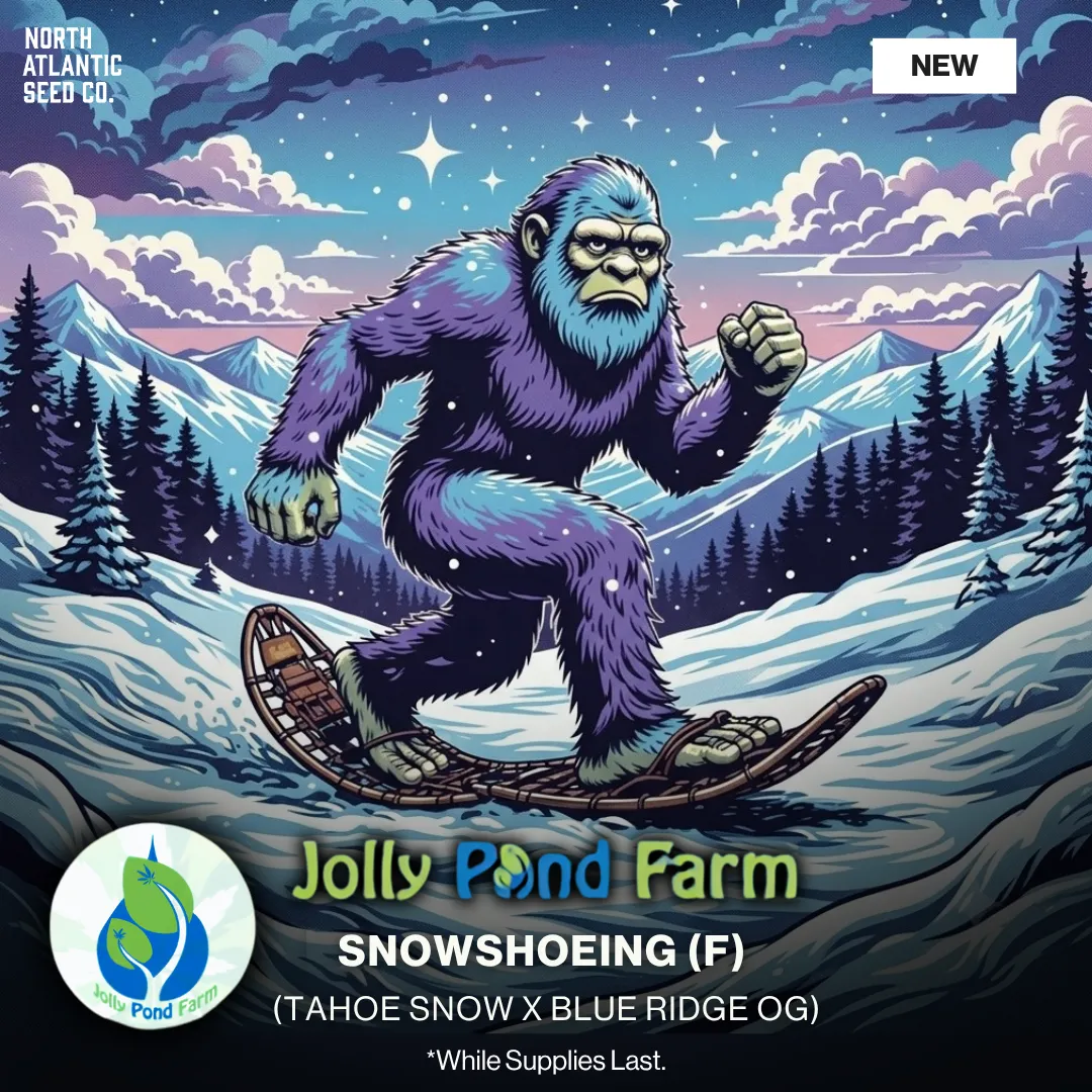 Jolly Pond Farm