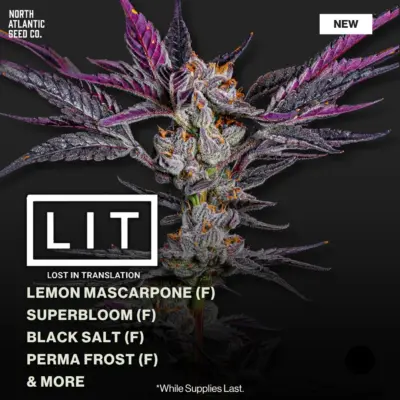 LIT Farms