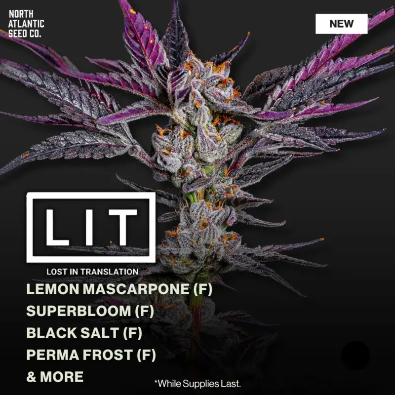 LIT Farms - Sharpiez Drop