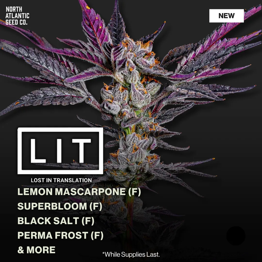 LIT Farms