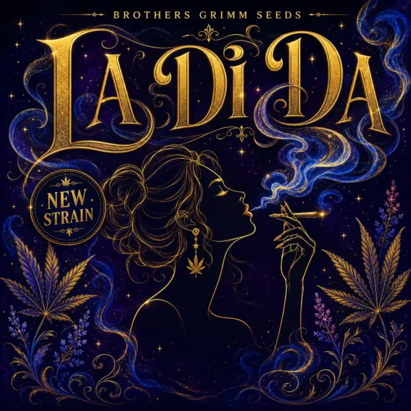 La Di Da Cannabis Seeds by Brothers Grimm Seeds