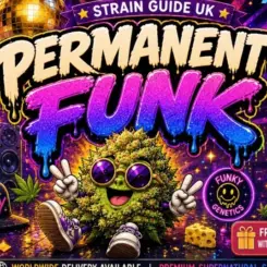 Permanent Funk Cannabis Seeds by Supernatural Seeds