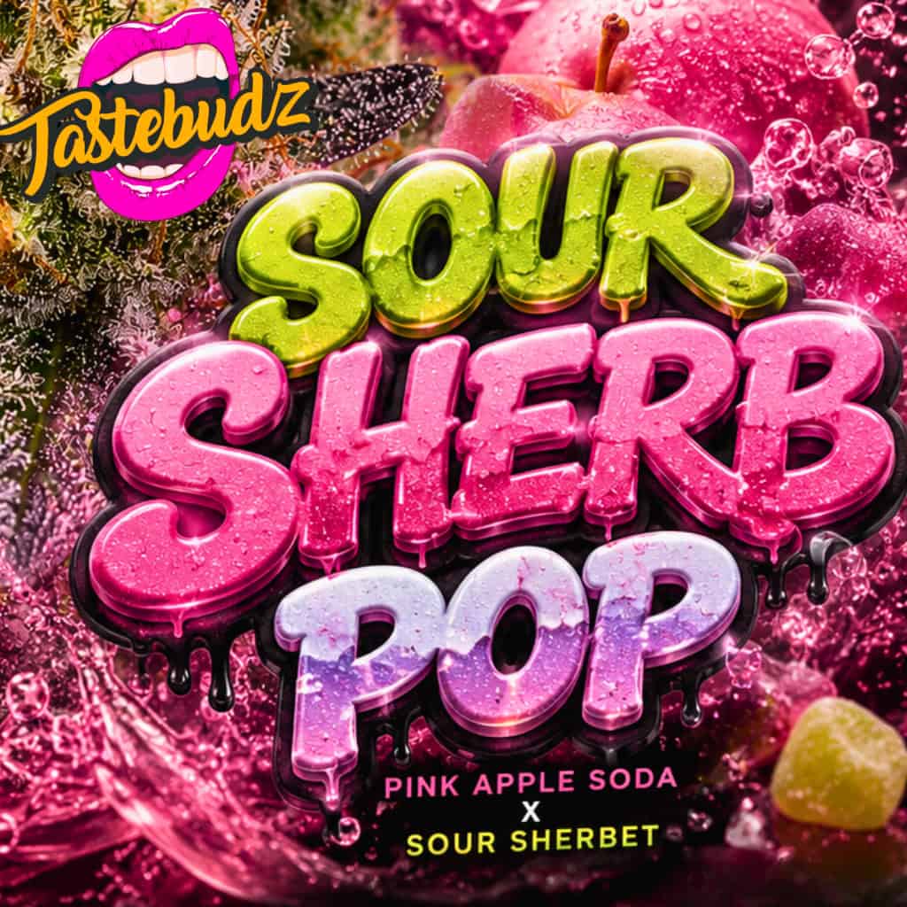 Sour Sherb Pop Cannabis Seeds by Tastebudz