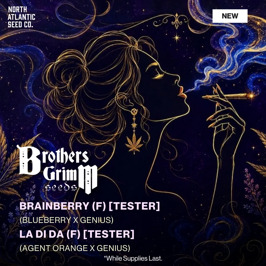 Brother's Grimm Seeds New Strains Summer 2026