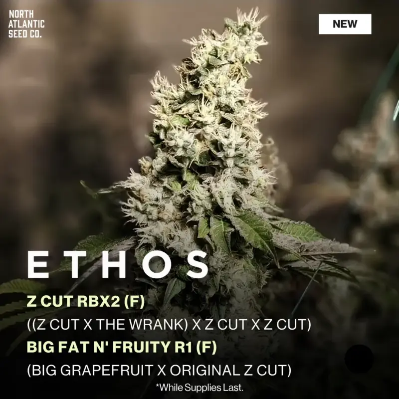Ethos Genetics 2026 Drops