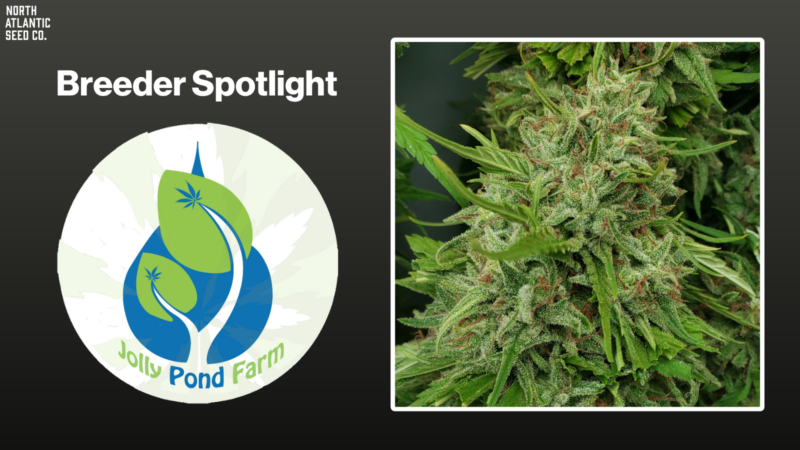 Jolly Pond Farm Shares Grow Tips & More!