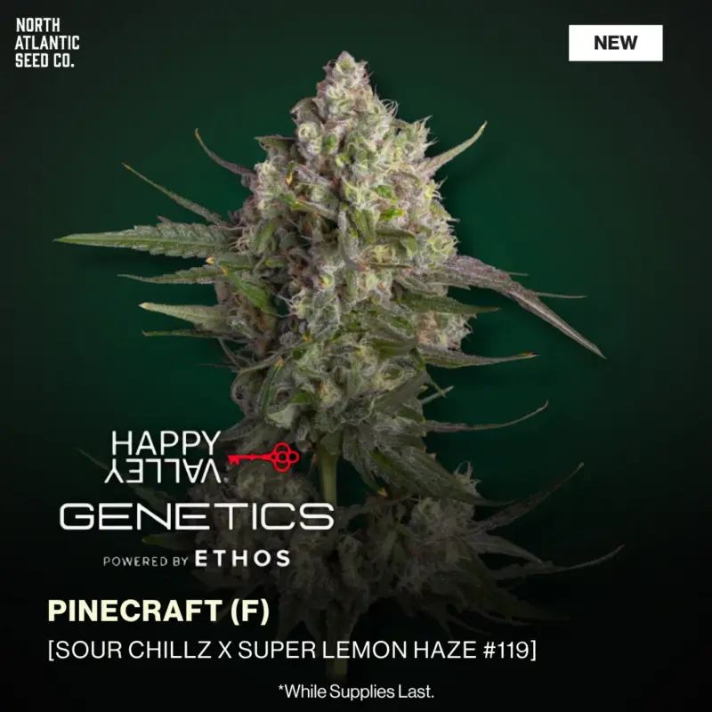 Happy Valley Genetics - Photoperiod