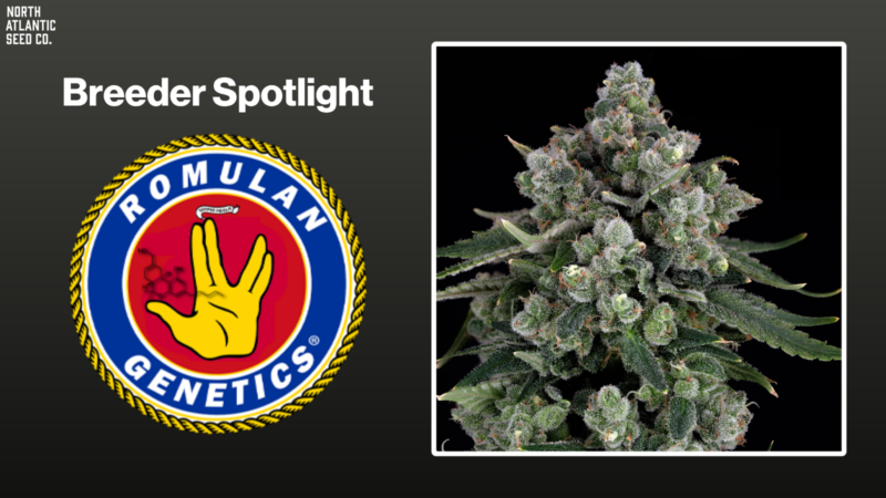 Romulan Genetics Shares Grow Tips & More!