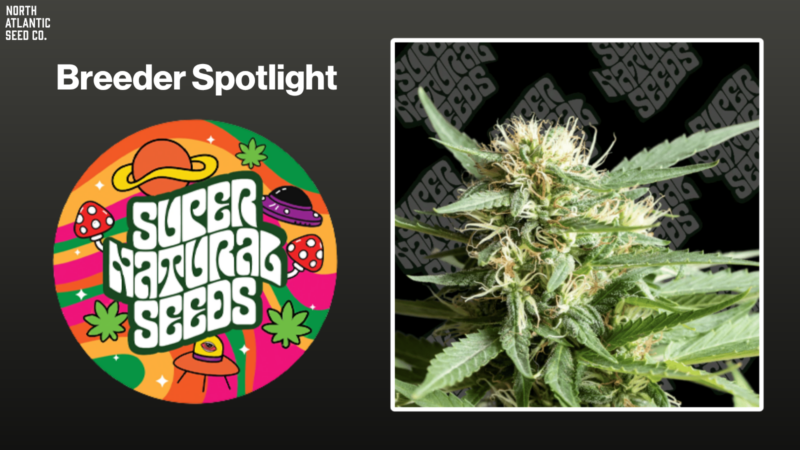 Supernatural Seeds Shares Grow Tips & More!