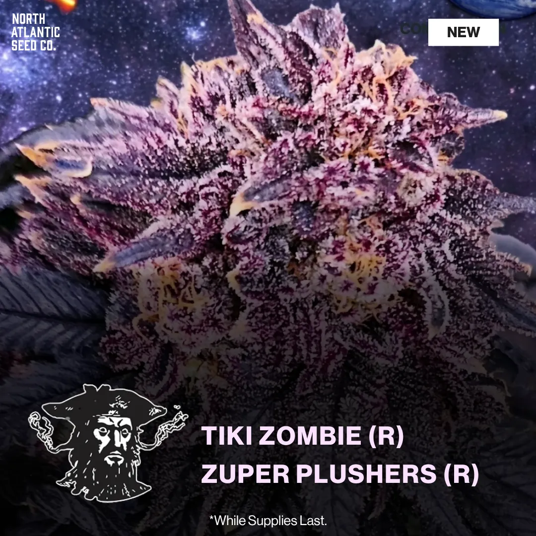 Tiki Madman New Strains