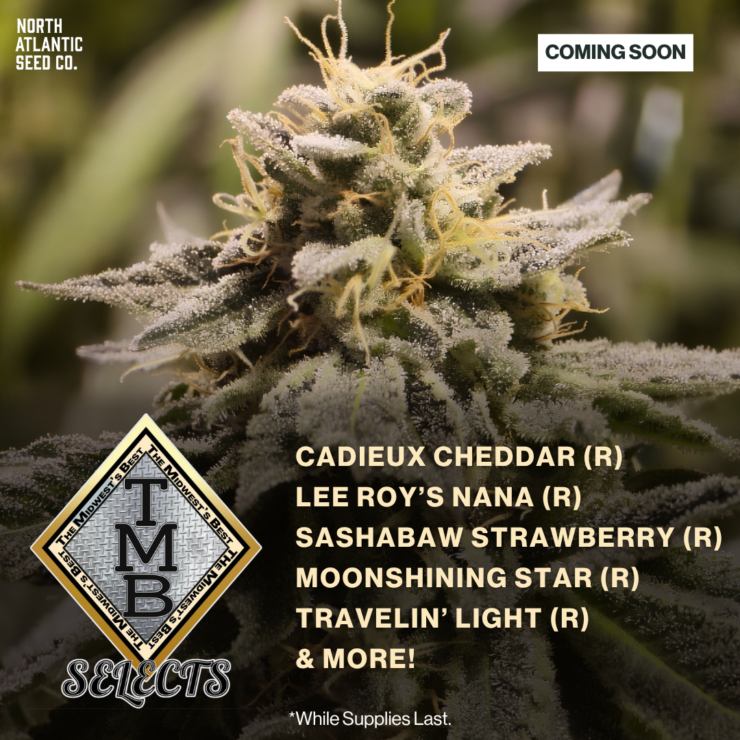 TMB Selects Seeds