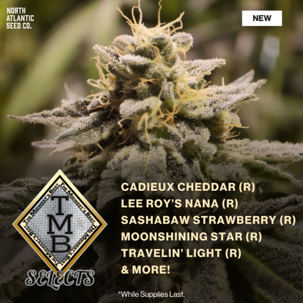 TMB Selects Seeds