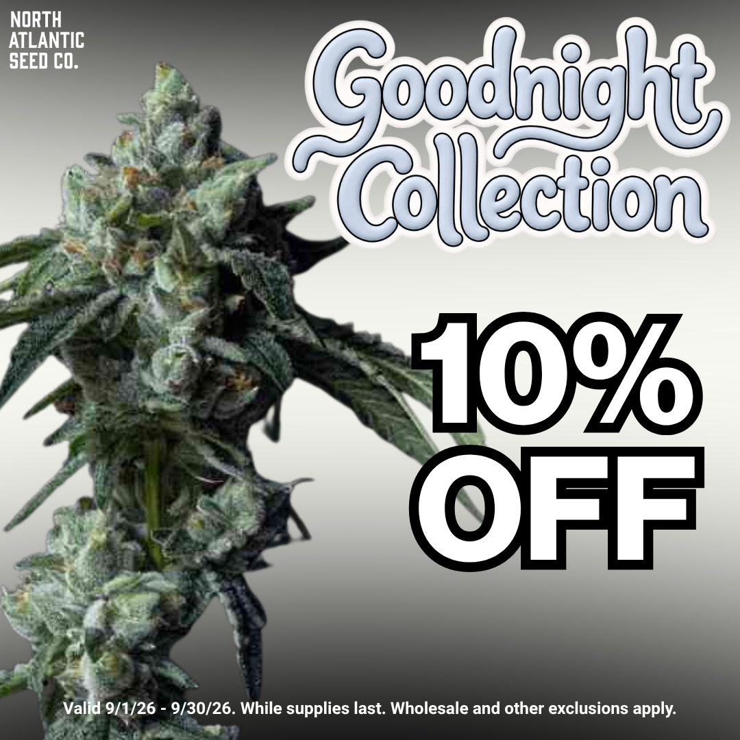 Goodnight Collection