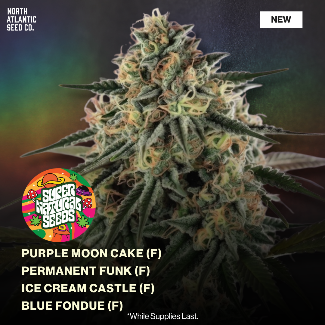 Supernatural Seeds Summer 2026 Drops