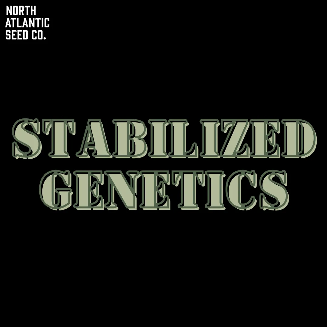 Cannabis Seeds with Low PVI