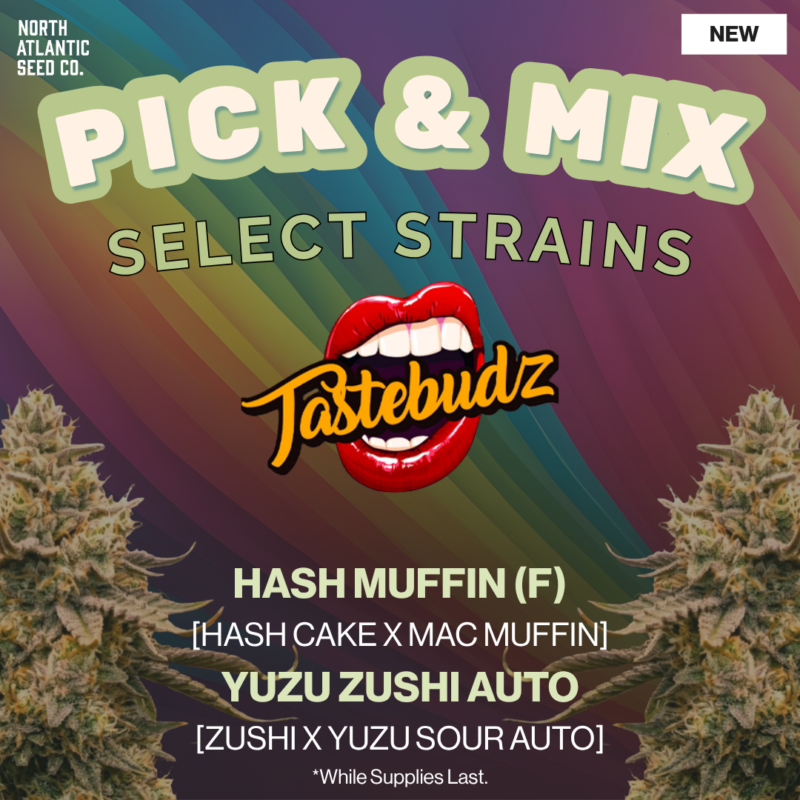 Tastebudz Pick and Mix
