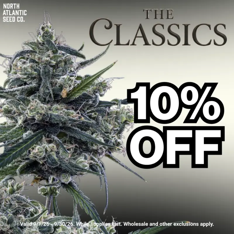 Classic Cannabis Seeds Image