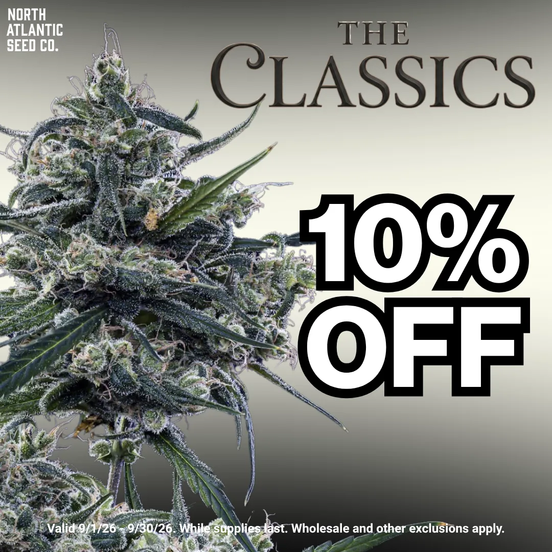 Classic Cannabis Seeds