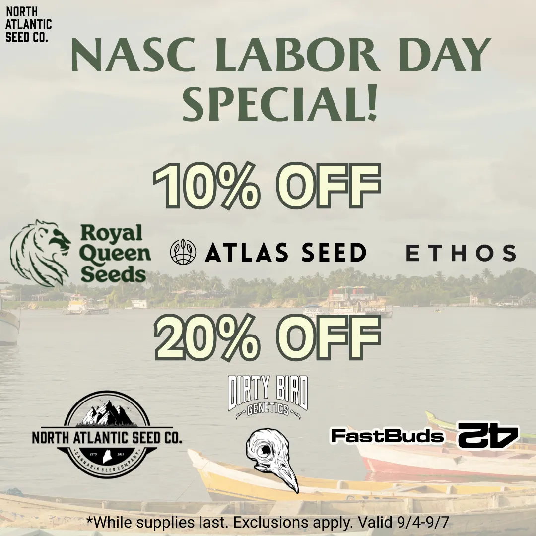 Royal Queen Seeds