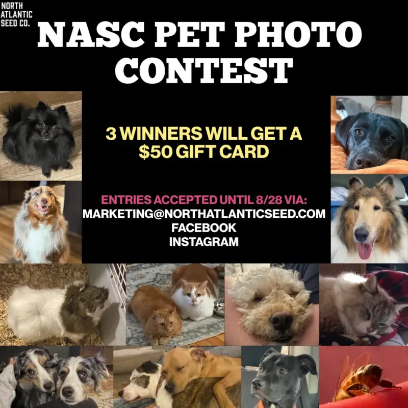 NASC Pet Photo Contest 2026
