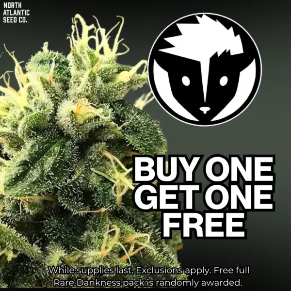 Rare Dankness