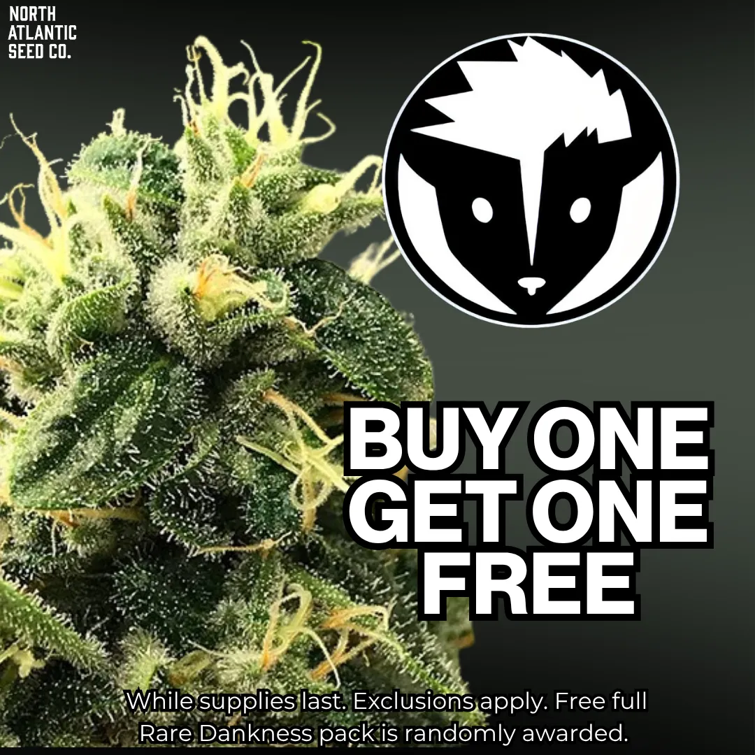 Rare Dankness