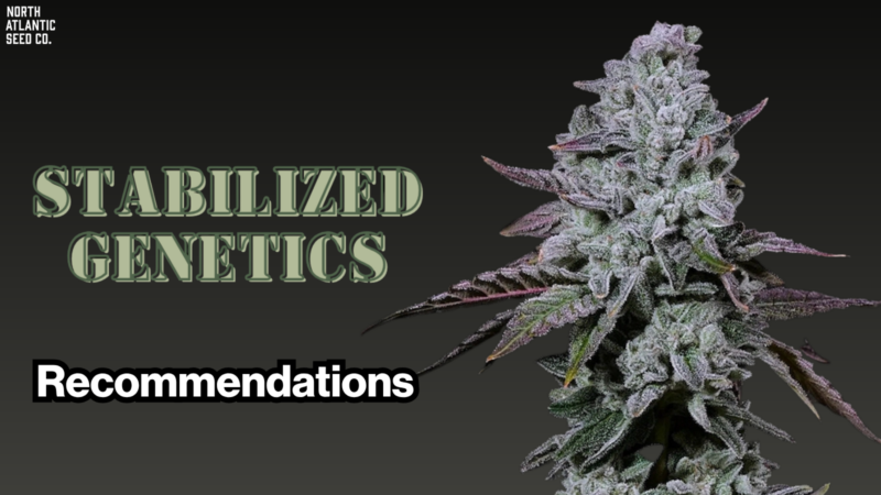 Stabilized Genetics Recommendations