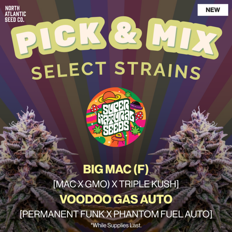 Supernatural Seeds Pick and Mix