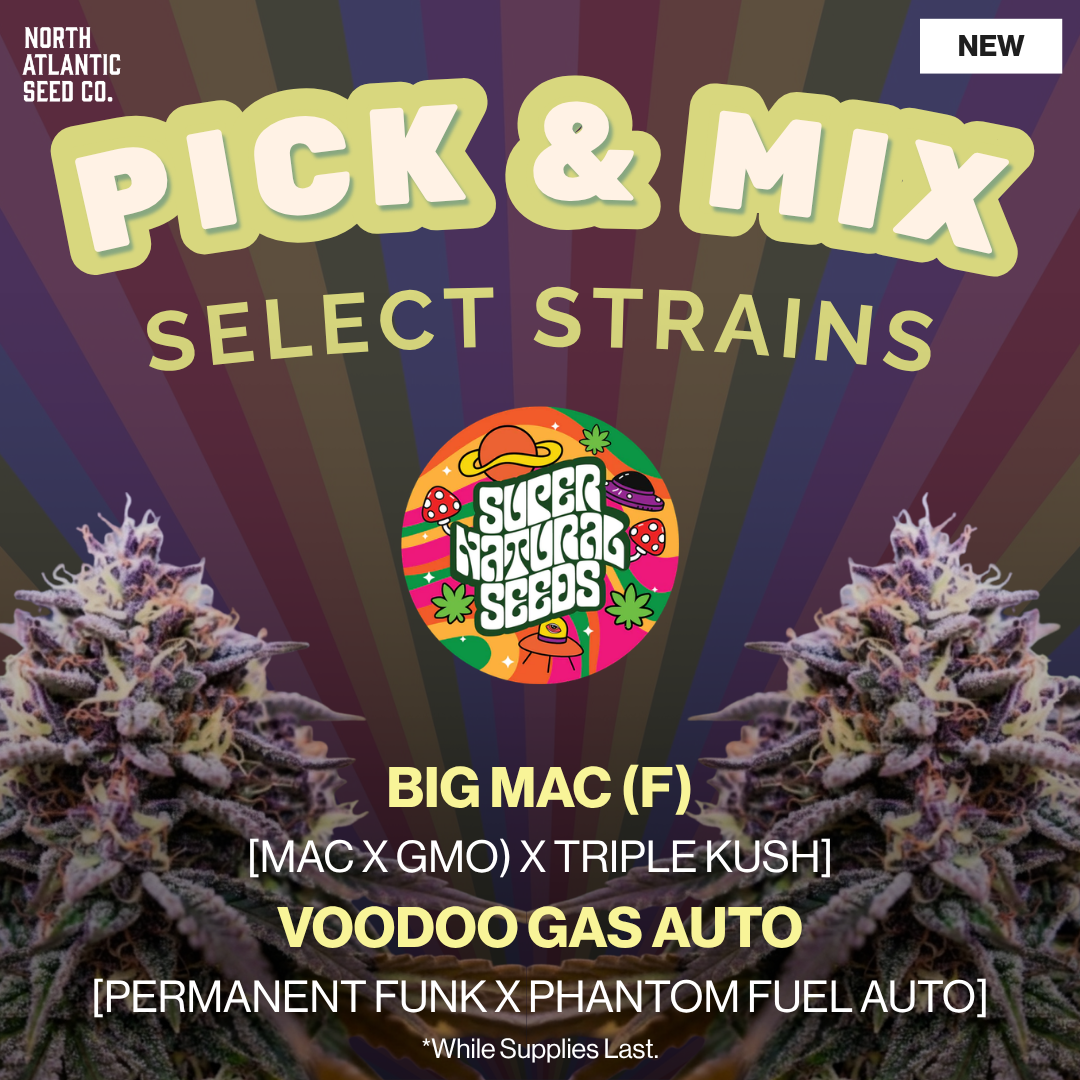 Supernatural Seeds Pick and Mix