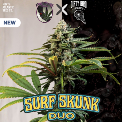 Dirty Bird Genetics
