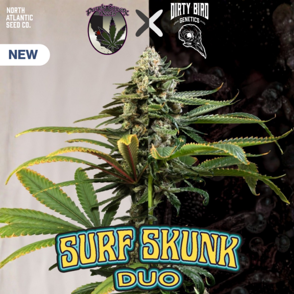 Dirty Bird Genetics