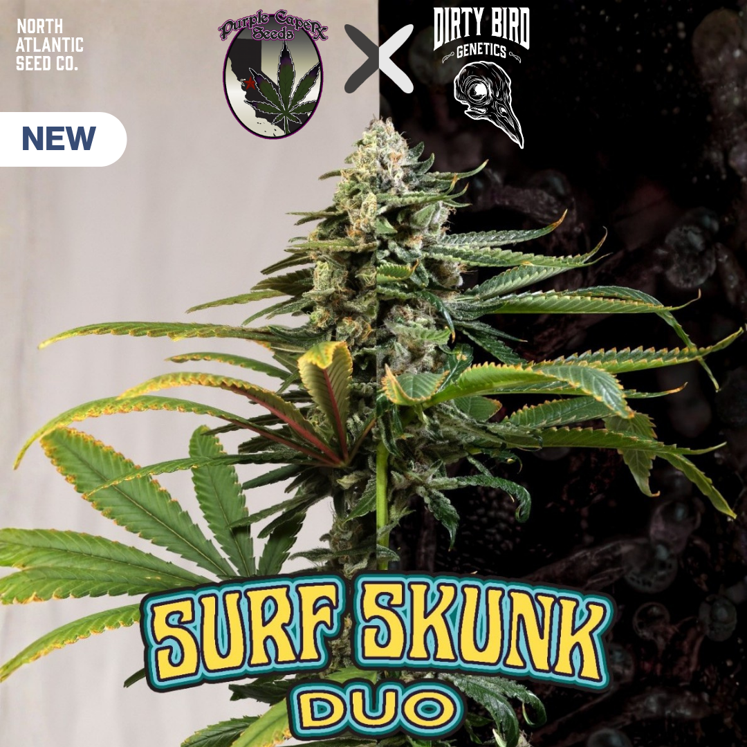 Dirty Bird Genetics