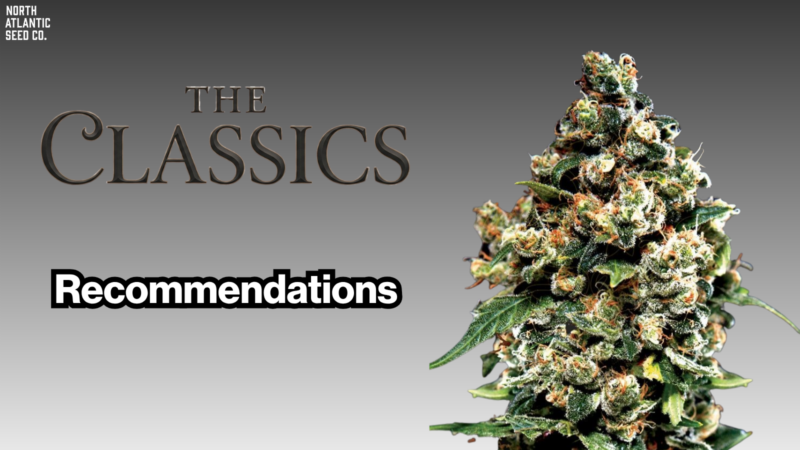 The Classics Recommendations