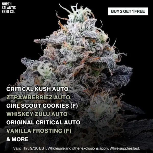 Buy 2 Get 1 FREE