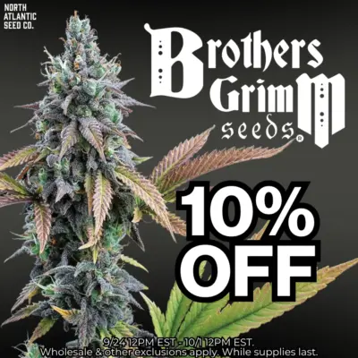 Brothers Grimm Seeds
