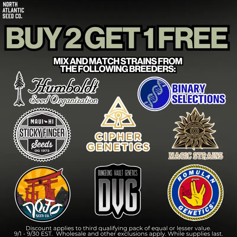 Buy 2 Get 1 FREE Promo