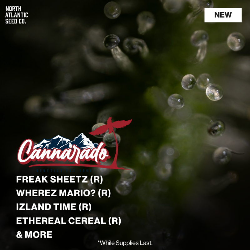Cannarado Genetics 2026 Drops