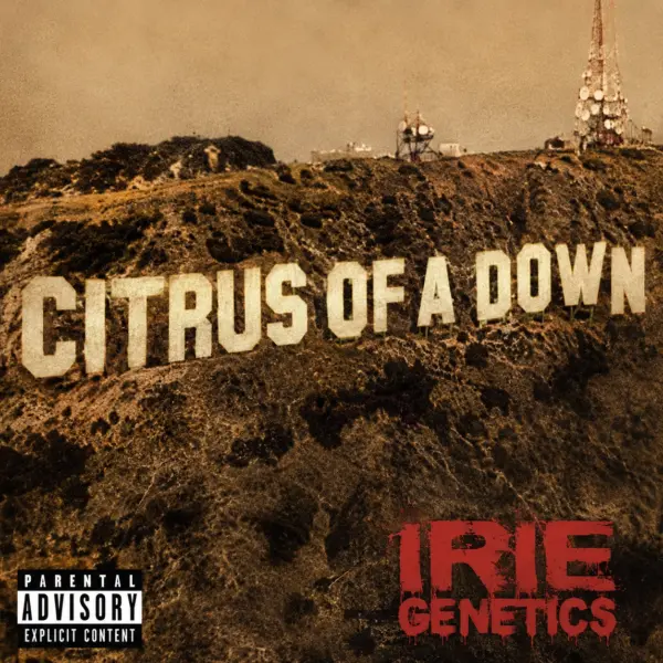 Citrus of a Down Cannabis Seeds by Irie Genetics