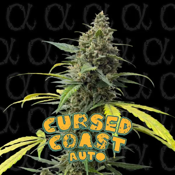 Cursed Coast Auto Alpha Series by Dirty Bird Genetics