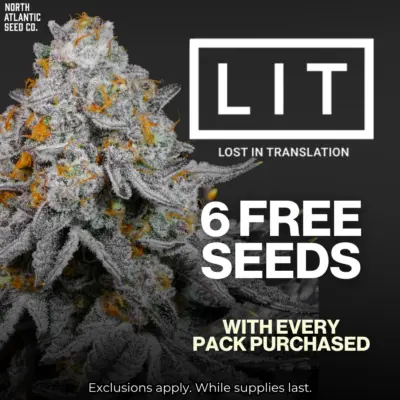 LIT Farms